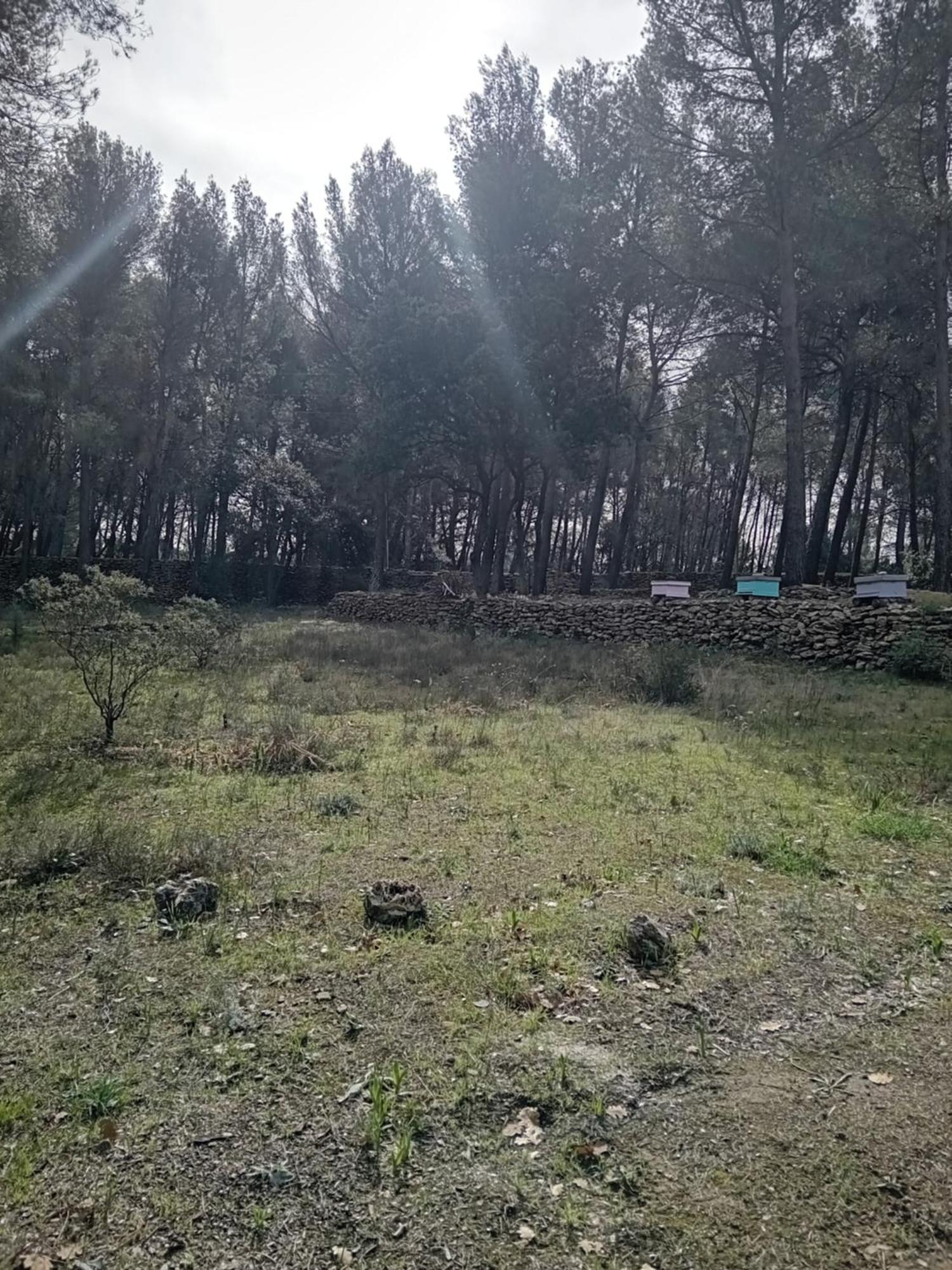 La Maison Du Rouquet Le Beausset Εξωτερικό φωτογραφία