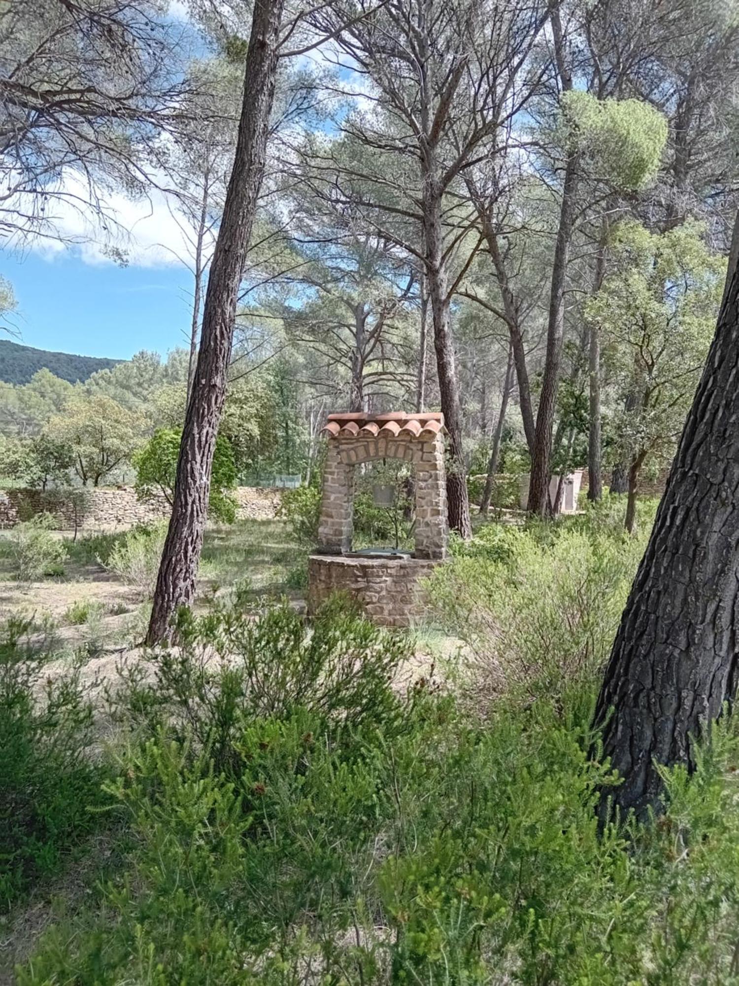 La Maison Du Rouquet Le Beausset Εξωτερικό φωτογραφία